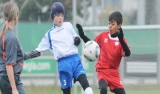 16:2 w roczniku 2001